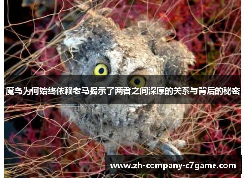 魔鸟为何始终依赖老马揭示了两者之间深厚的关系与背后的秘密