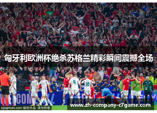 匈牙利欧洲杯绝杀苏格兰精彩瞬间震撼全场 匈牙利欧洲杯绝杀苏格兰精彩瞬间震撼全场